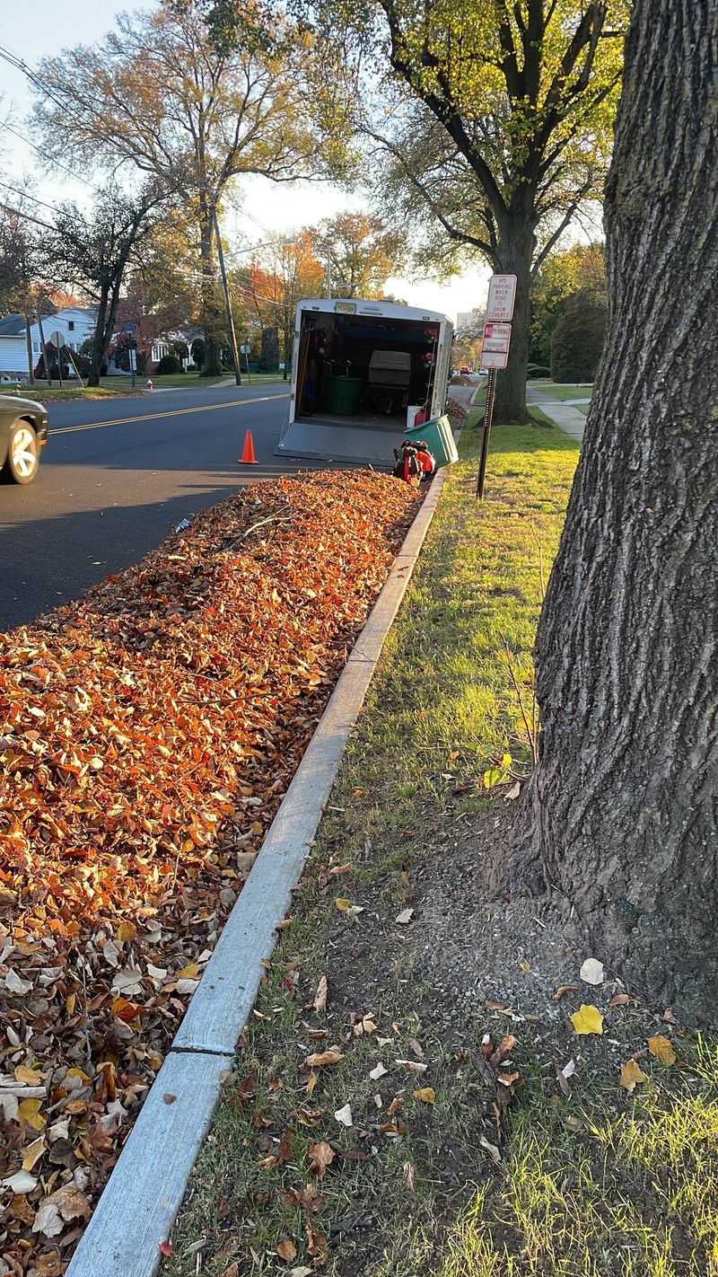 Fall leaf removal and property cleanup in Bergen County NJ by Angelscape