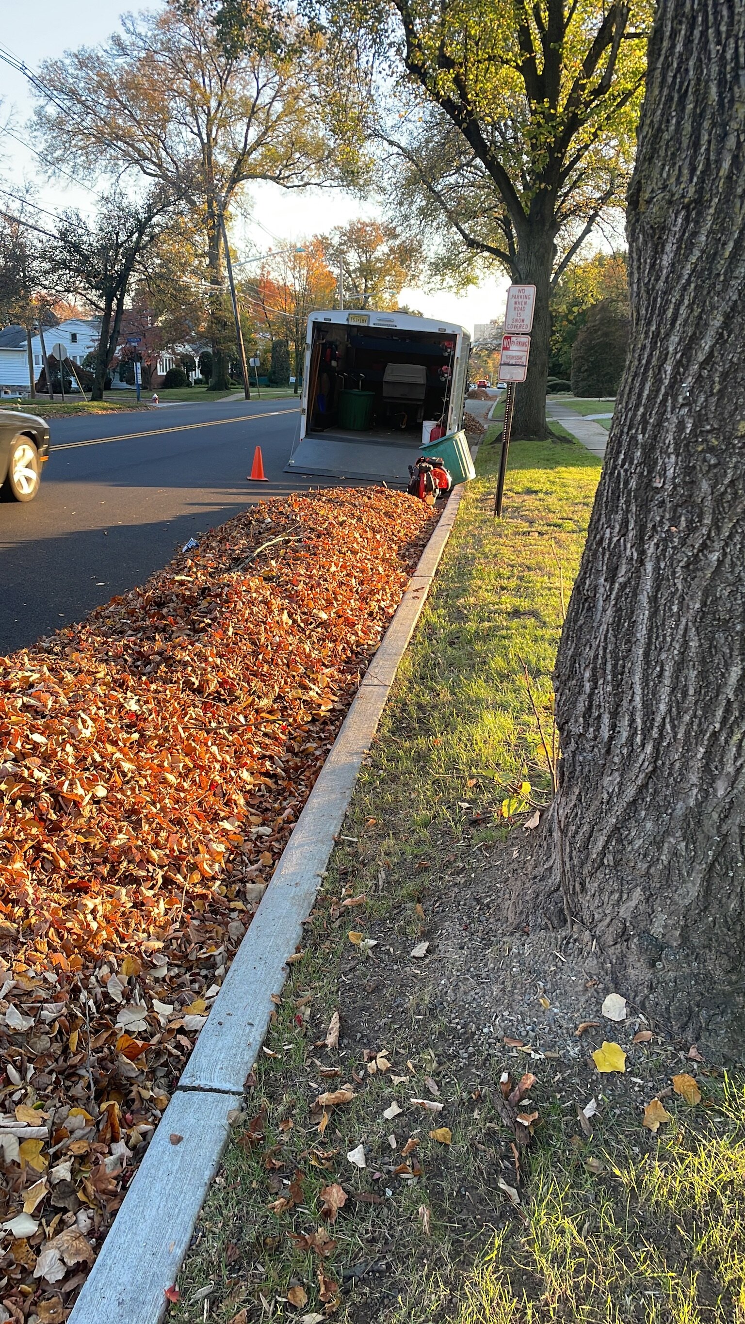Fall leaf removal and property cleanup in Bergen County NJ by Angelscape
