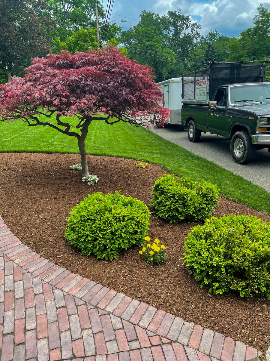 Hardscape and planting work by Angelscape