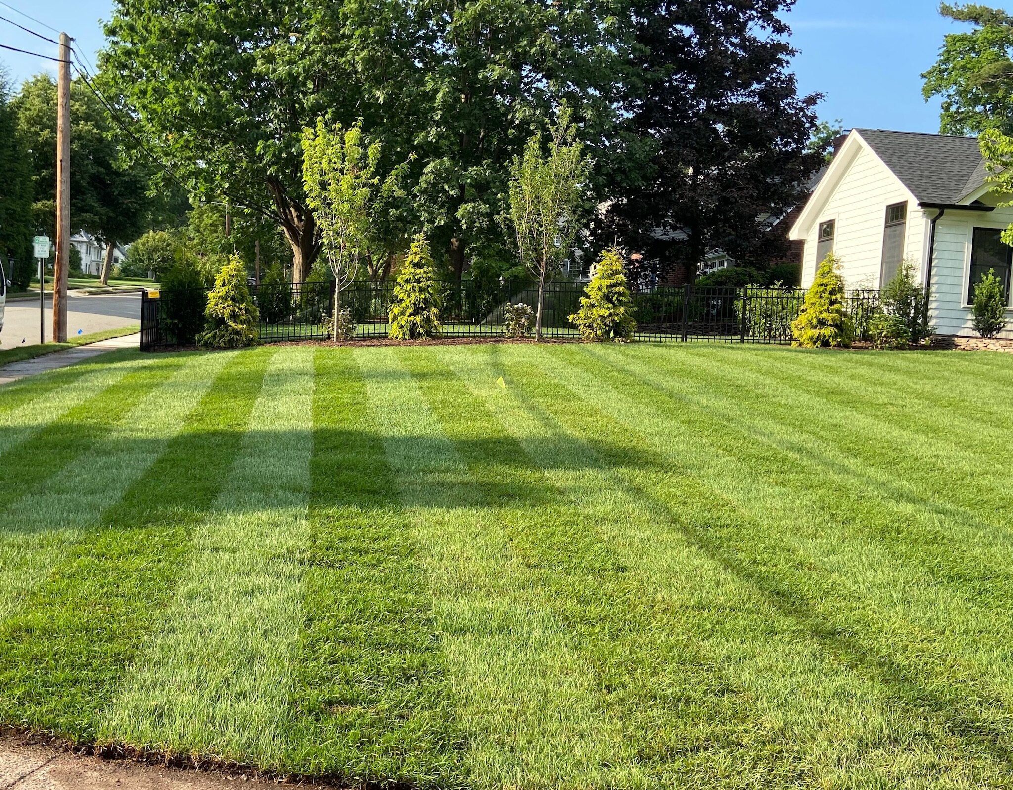 Beautifully striped lawn care in Bergen County NJ by Angelscape