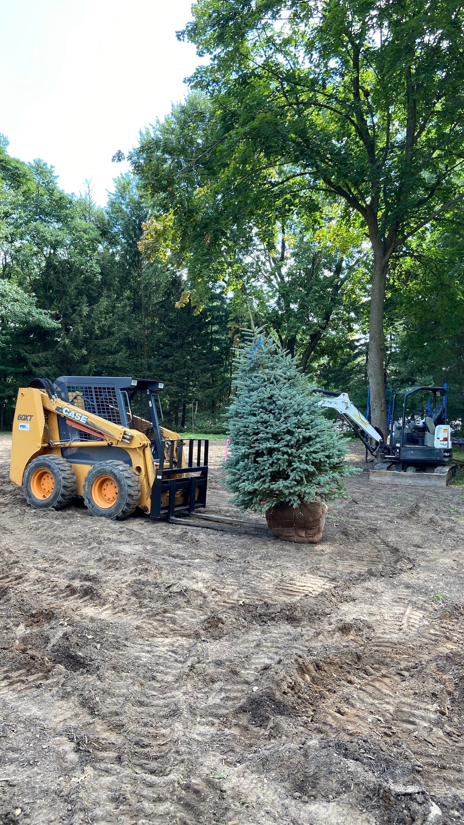Spring tree planting and mulch installation in Bergen County NJ