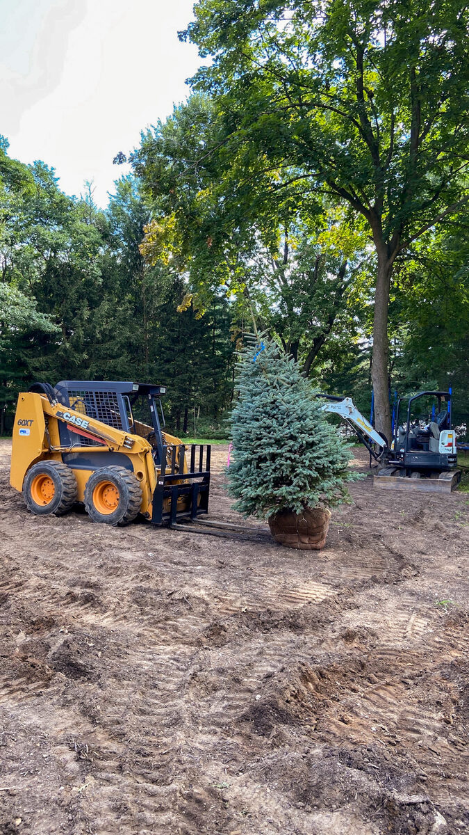 Angelscape crew planting a large tree with skid steer equipment in Bergen County