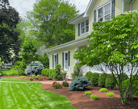 1landscaping_mainpage_services