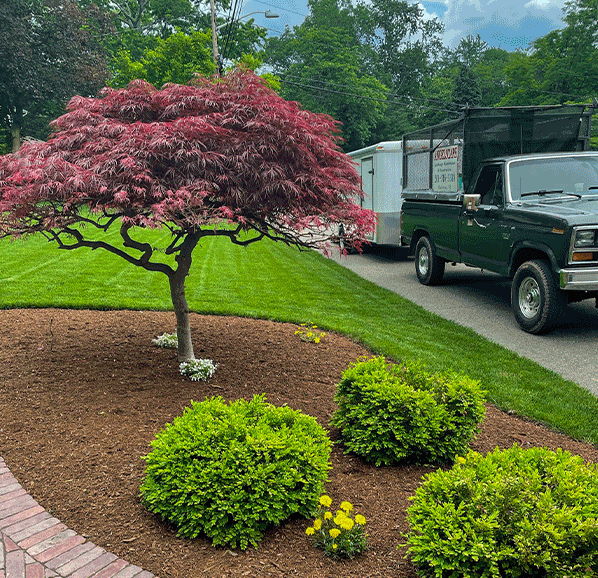 Bergen County Landscaping: Transforming Outdoor Spaces